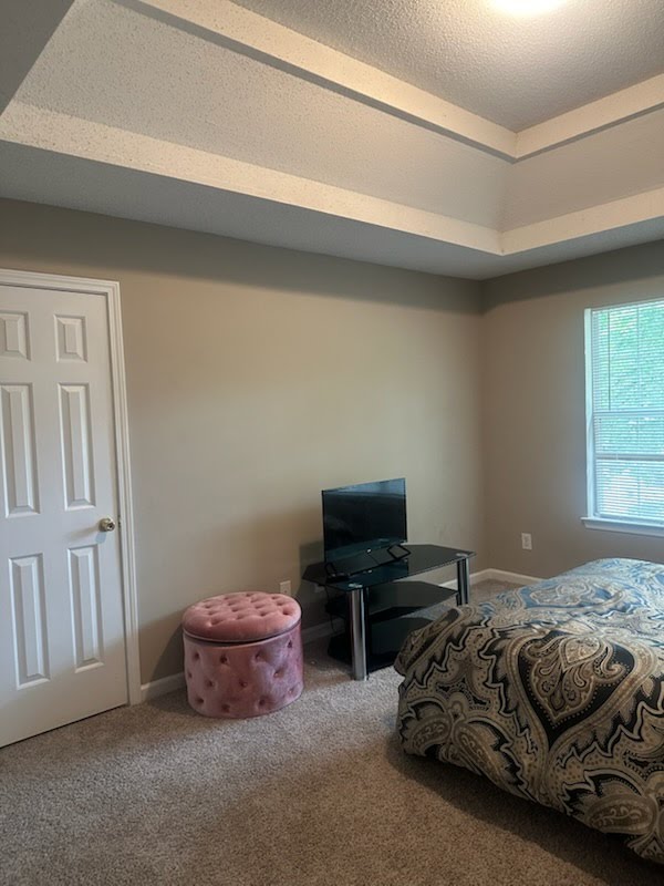 Neutral bedroom with tray ceiling