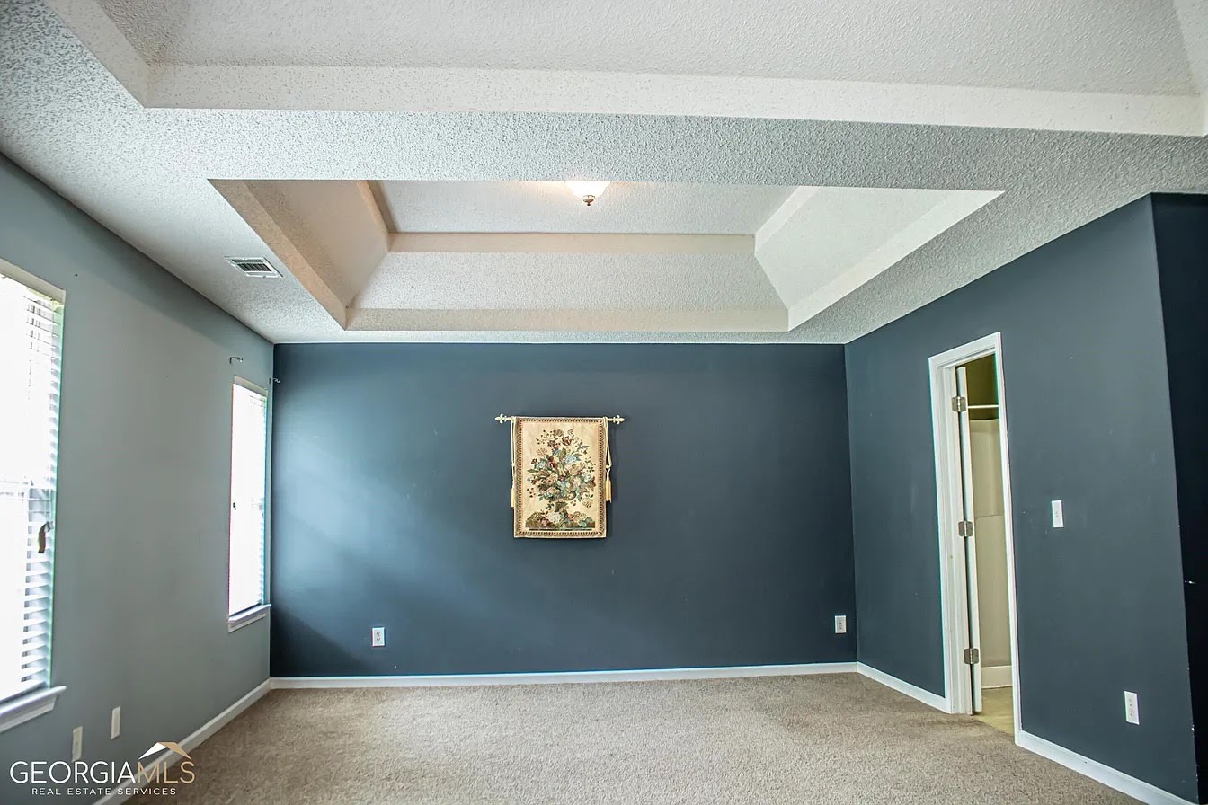 Room with slate walls and tray ceiling